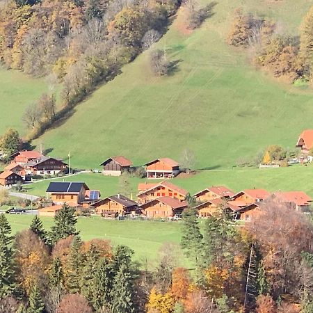 Chalet Park Apartment Mit Sauna Hamam Diemtigen Εξωτερικό φωτογραφία