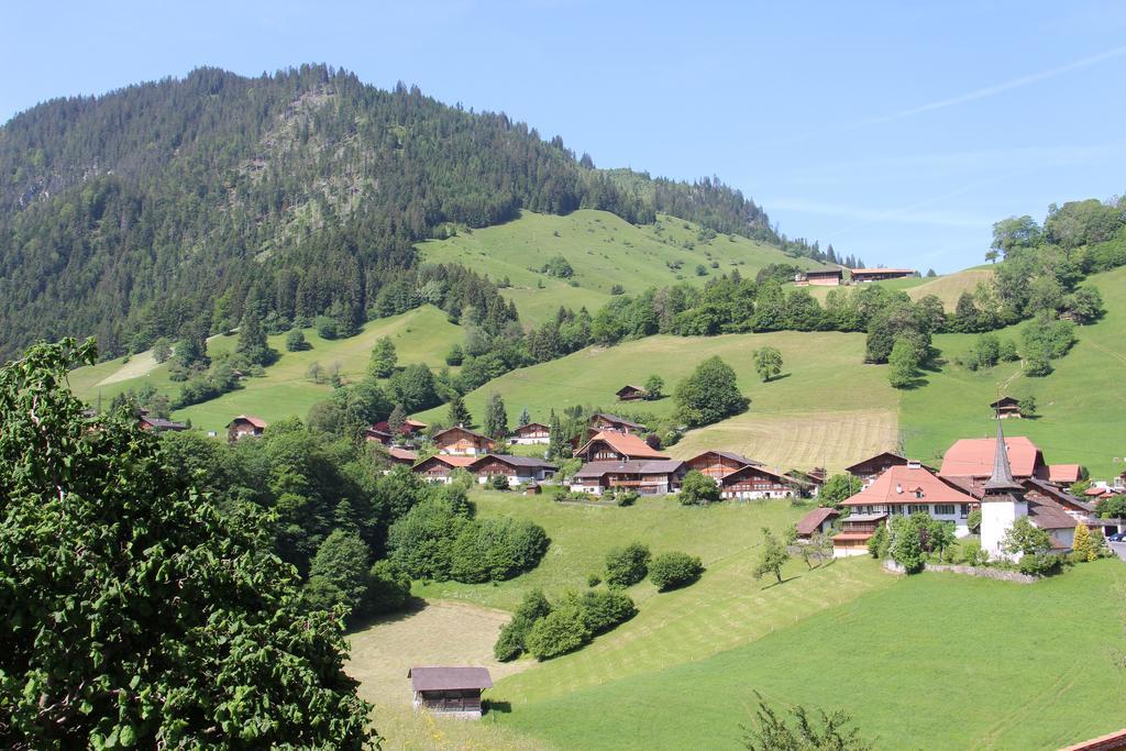 Chalet Park Apartment Mit Sauna Hamam Diemtigen Δωμάτιο φωτογραφία