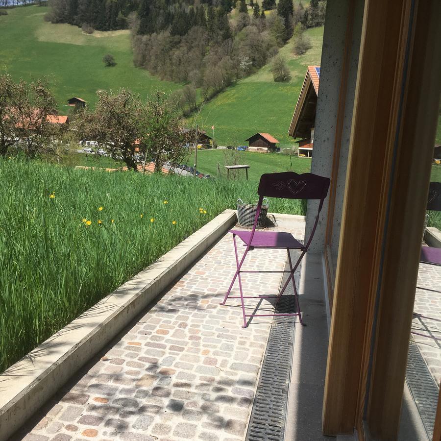 Chalet Park Apartment Mit Sauna Hamam Diemtigen Εξωτερικό φωτογραφία