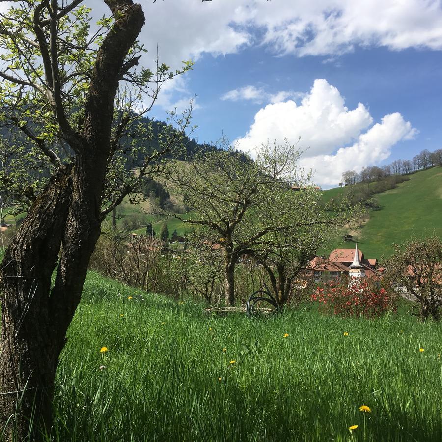 Chalet Park Apartment Mit Sauna Hamam Diemtigen Εξωτερικό φωτογραφία