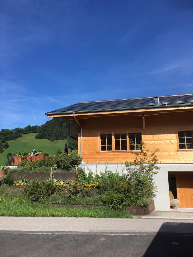 Chalet Park Apartment Mit Sauna Hamam Diemtigen Εξωτερικό φωτογραφία