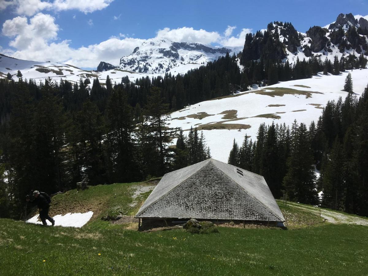 Chalet Park Apartment Mit Sauna Hamam Diemtigen Εξωτερικό φωτογραφία
